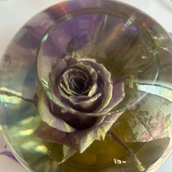 Purple glitter rose globe - Picture 4 of 4